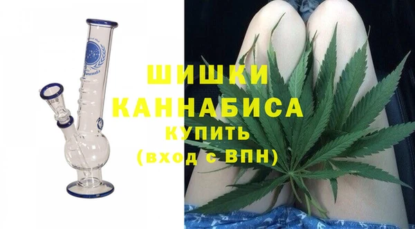 шишки Вязьма