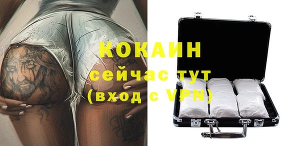 шишки Вязьма