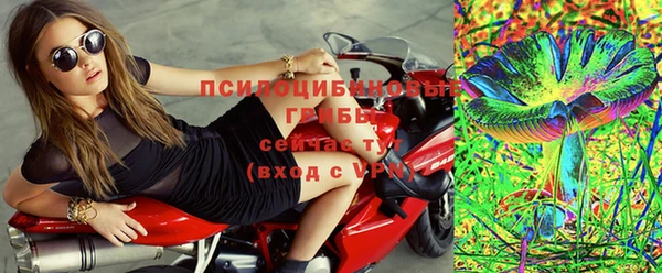 шишки Вязьма