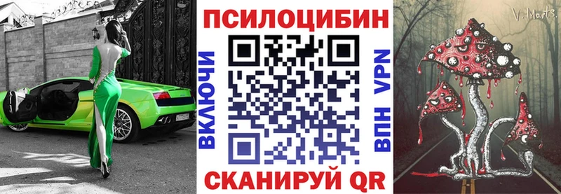Купить закладки  Питкяранта  Галлюциногенные грибы ЛСД 